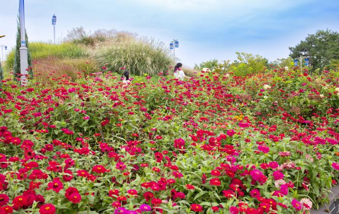 사진  평택시 제공
