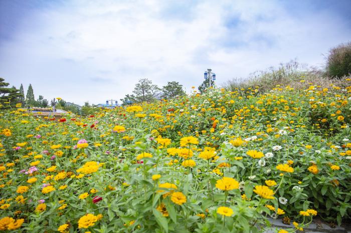 사진   평택시 제공