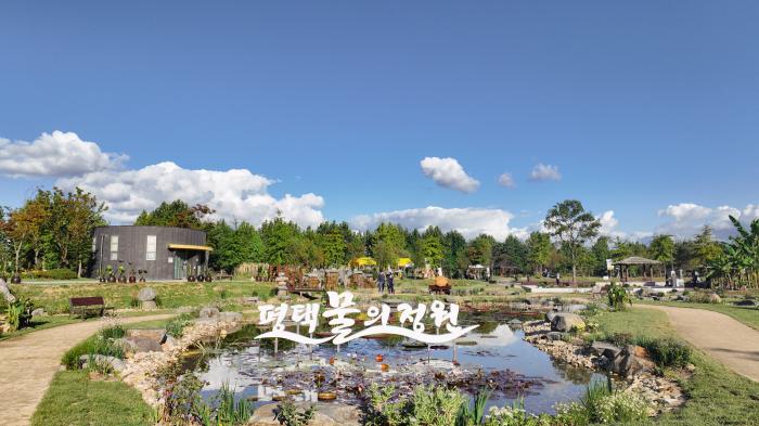 4대 하천이 만난 정원, 평택의 물결이 예술이 되다 — 제13회 경기정원문화박람회, 평택 ‘물의 정원’ 시민 발길 사로잡아 기사 이미지