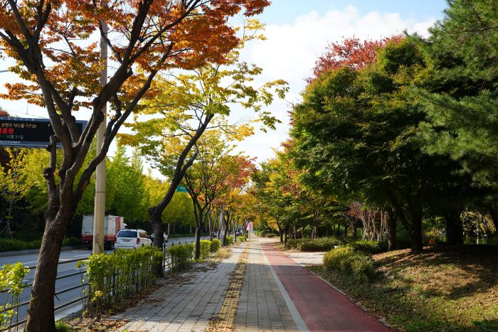 사진평택시 제공